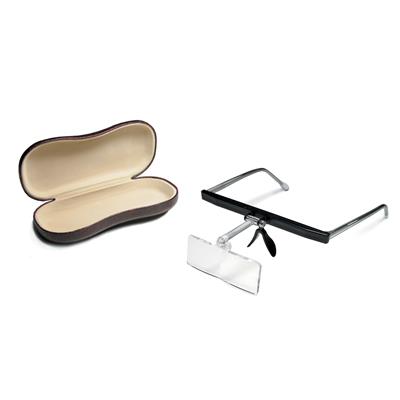 Eyeglass Holder and Spectacle Loupes