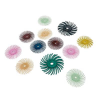 Radial Bristle Disc