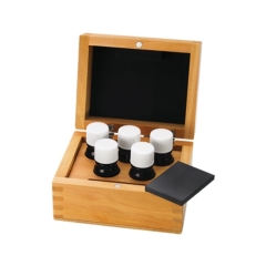 Acid Bottle Box with 5 Bottles + Stone